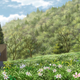 Illustration for article titled Grexs iMushishi/i Review